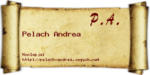 Pelach Andrea névjegykártya